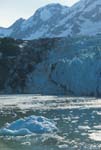 Glacier Calving