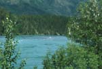 Kenai River 2